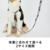 MANDARINE BROTHERS マンダリンブラザーズ リフレクティブリード　S-L