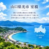 力塩 40g 100g 500g 20g 山口県 光市 室積 海水塩 国産 塩 しお 調味料 まろやか おにぎり 肉料理 魚料理 サラダ 天ぷら 料理用 ご当地 お取り寄せ