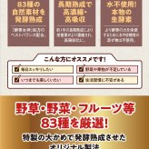 お得セット酵素女神本生濃縮酵素ペースト1箱+エニュースーパーザイムプラスフォー 2本　ENEW SUPERZYME PLUS 4  酵素ドリンク