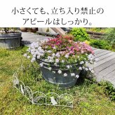 アイアンフェンス ミニ 猫 10枚組 ブ ホワイト NK7238-10P ミニフェンス ガーデニングフェンス ガーデンフェンス 挿すだけ 小型フェンス ネコ パーテーション 仕切り 境界 境目 花壇 家庭菜園 プランター ベランダ 園芸 ブラック 屋外