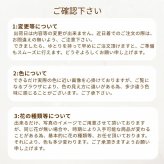 【Like a bouquet】生花のアレンジメント 花束のように見えて華やかな印象があります。新築のお祝いや開店のお祝いなど空間のインテリアのように飾ることができるお祝い花です 送料無料 生花 アレンジメント 誕生日 花 ギフト 送料無料 白 お祝いアレンジメント 御祝 記念日 開店御祝い 自宅用 お供え フラワーギフト 展示会 楽屋花 受付 おしゃれ 母の日 敬老の日 お中元 お歳暮