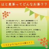 国産 はと麦茶 ティーバッグ お試し2袋セット 【送料無料】からだにやさしいノンカフェイン 5.5ｇ×24ｐ×2袋 妊婦さん・授乳期ママに大人気！ 国産はと麦【健康茶】