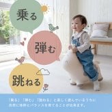 【レビュー特典 / ラッピング無料】 スキッピー おもちゃ 乗りもの 1歳 2歳 ギフト プレゼント 乗用玩具 室内遊具 バランストイ Tryco こども キッズ 知育玩具