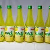 宮崎産日向夏セット6本 (日向夏) 500ml×6本