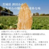 干し芋 鉾田産 紅はるか 1.5kg 750g×2袋 国産 無添加 ほしいも 乾燥芋 かんそう芋 ヘルシースイーツ おやつ ギフト 送料無料