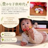 [日本製安心おもちゃ]●ねこ車　日本グッド・トイ受賞おもちゃ すべすべの 赤ちゃん おもちゃ 木のおもちゃ 車 押し車 はがため 歯がため おしゃぶり 出産祝い 日本製 カタカタ がらがら ラトル 歯固め 男の子＆女の子 3ヶ月 4ヶ月 5ヶ月 6ヶ月 7ヶ月 8ヶ月 9ヶ月 10ヶ月 1歳 2歳 誕生日ギフト 親子 木育 オモチャ ]