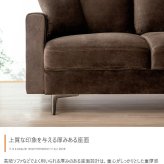 ソファーセット カウチ ロー フロア 2人掛け 二人用 両肘 ローバック 組み立て簡単 大人かわいい クッション付き 脚取り外し可能 韓国インテリア ファミリー 一人暮らし グレー 幅136 ワンルーム コンパクト 組み合わせ アイアン シンプル ベロア