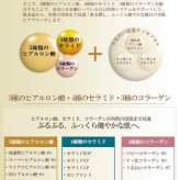 AFC エクスシャイニー イージーリフト オールインワンゲルクリーム 60g 保湿 ジェル 8役 化粧水 乳液 美容液 クリーム マッサージ アイクリーム ネッククリーム 下地 スキンケア エイジングケア 弾力 ハリ 潤い