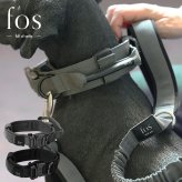 fos ノーブルカラー