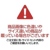 ペットキャリー M リッチェル キャンピングキャリー ファインR ダブルドア アイボリー 犬 猫 ハードキャリー クレート ペットハウス 日本製 自動車 シートベルト固定 旅行 通院 お出かけ
