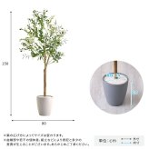 お手入れ簡単 フェイクグリーン オリーブ Mサイズ(150cm) 新築祝い 開店祝い