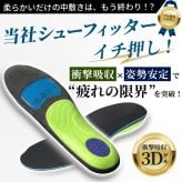 インソール 中敷き 衝撃吸収 アーチサポート 3Dゲル クッションインソール 疲労軽減 疲れにくい 抗菌 防臭 立ち仕事 ウォーキング メンズ レディース パレード 998141 998142 