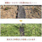 25平米分セット 二層構造防草シートセット クラピア 植栽用 （25m2） 1m幅 25m巻 + J字型ピン （150本） 二重構造の高耐久性10年