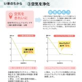 夏ラグ 夏用カーペット ラグ い草 撥水 滑り止め 不織布 格子柄 シンプル カジュアル 抗菌防臭 約190×300cm 新生活