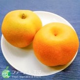 豊水　なし　約5kg　長野県須坂市産　フルーツ　ギフト
