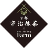 京都 宇治抹茶 パフェ ティラミス アイス 8個セット 高級 スイーツ 詰め合わせ ギフト 濃厚 抹茶 アイスクリーム お取り寄せ デザート 贈り物 プレゼント アイスギフト