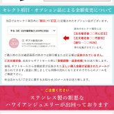 ハワイアンジュエリー ピアス ハワイアン ピアス プルメリアピアス 花 8mm ジルコニア シルバー925 ロジウムコーティング フックピアス キャッチ メール便 彼女 妻 女性 レディース 誕生日 プレゼント ハロウィン 【品番：SE10301】