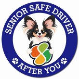 カーサイン 高齢者マーク SENIOR SAFE DRIVER パピヨン マグネット 強力 直径13cm 肉球 日本製 車 ステッカー