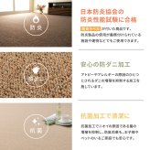 ラグ カーペット 敷き詰め オペラ 江戸間3帖 3畳 防炎 抗菌 防臭 ウール 日本製 新生活