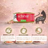 Schesir（シシア）キャットシリーズ マルチパック ツナ＆エビ 50g×6缶×8個セット