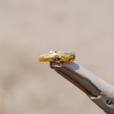 ハワイアンジュエリー ピアス 片耳 両耳 レディース メンズ サージカルステンレス 金属アレルギー対応 小さめ つけっぱなし シルバー ゴールド ピンクゴールド  男性用 女性用 ジェンダーレス