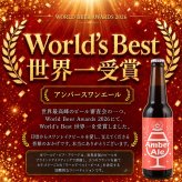 特選 ギフト 贈り物 プレゼント バースデーラベル使用  ビール クラフトビール 世界一 金賞受賞 3本 瓶 330ml  バースデーカード付き　飲み比べ 金賞受賞 スワンレイクビール 飲み比べ
