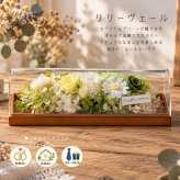 プリザーブドフラワー 結婚祝い プレゼント 友達 内祝い 【エクロール】花 友人 かわいい 記念日 開店祝い おしゃれ フレーム ギフト 開業祝い 開院祝い バラ 誕生日 母の日 還暦祝い 米寿 還暦 アレンジ お祝い 敬老の日 小さめ 喜寿 ミニ
