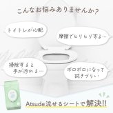 流せるおしりふき 純水99％ 厚手 極厚 蓋つき 9個セット 新生児 肌にやさしい 70枚 × 9個 セット 水分たっぷり WT005