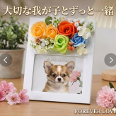 フラワーフォトフレーム　ペット　メモリアル　写真立て　遺影　ペット遺影　ペットグッズ 喜寿 長寿