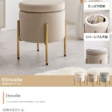 収納付きスツール 新生活 ベロア風 収納付き スツール 幅35cm 天板リバーシブル3色展開 スタッキング ドレッサー 踏み台 プレゼント 新築祝い 一人暮らし かわいい おしゃれ オブジェ リビング 北欧風 韓国風 インテリア家具 収納スツール 椅子