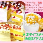 クリスマス生クリームケーキ【４～７号】（フルーツケーキ いちごケーキ マンゴーケーキ 選択）［クリスマスケーキ クリスマスデコレーションケーキ］