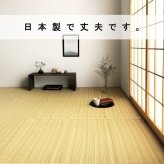 ラグ カーペット 洗える ダイニング 敷詰 丈夫 日本製 国産 除菌スプレー対応 ござ アウトドア ペット 江戸間4.5畳（約261×261cm）