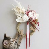 しめ縄 お正月飾り 犬 猫 犬猫 犬好き 猫好き ペット かわいい おしゃれ ナチュラル 玄関飾り正月飾り しめ飾り お正月 モダン しめなわ