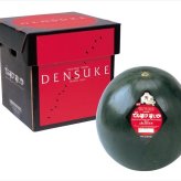 送料無料 北海道産地直送  でんすけすいか秀品2L1玉 秀 ※ご注文後約7～10日前後での発送となります。沖縄・離島へは別途配送料が発生いたします お取り寄せグルメ スイーツ