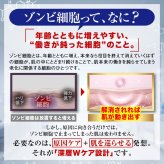 セイクリッド ザ・クリアターンセラム / 美容液 エイジングケア 年齢肌 ナイアシンアミド ビタミンC誘導体 ビタミンE誘導体 ヒアルロン酸 保湿 ハリ 弾力 ツヤ 乾燥くすみ 透明感 / 年齢とともに気になるハリ不足や乾燥に 
