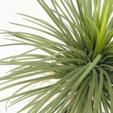 観葉植物 造花 ユッカ ロストラータ BROWN 全高約94cm 中型 フェイクグリーン 本物そっくり おしゃれ インテリア 人工観葉植物 アーティフィシャルグリーン オフィス 店舗 ホテル 開店祝い 室内 ブルー フェイク