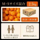 みかん 2.5kg 贈答用 秀品 特選 送料無料 和歌山 S M 小粒 中粒 手詰め 有田みかん 温州みかん ご当地 お出産内祝い 贈答 ギフト 誕生日 結婚祝い 出産祝い 内祝い ギフト