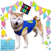 犬服 SPORT メッシュタンクトップ ( 中型犬用 )  柴犬 バグ