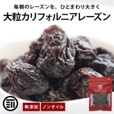 前田家 大粒レーズン ノンオイル カリフォルニア産 300g/500g/700g 無添加 砂糖不使用 種なし ドライフルーツ 干しぶどう レーズン 大粒 製菓材料 おやつ 送料無料 MAEDAYA