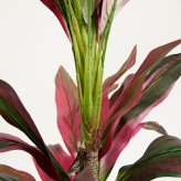 観葉植物 造花 ドラセナ パープル BROWN 全高約180cm 大型 フェイクグリーン 高級 本物そっくり リアル おしゃれ 赤 紫 インテリア 人工観葉植物 アーティフィシャルグリーン モダン オフィス 店舗 ホテル 開店祝い 室内 リビング 玄関 風水 フェイク