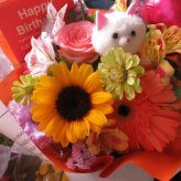 ネコ ねこ 猫入り フラワーアレンジメント 誕生日 デザイナーにおまかせ 生花使用 