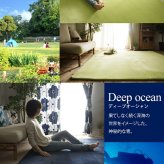 ラグ カーペット マット 80×190cm ホリデープラス 敷物 撥水加工 はっ水加工 手洗い可能 ホット 対応 床暖房対応 すべり止め付き マイクロファイバー 低反発ウレタン 低ホルムアルデヒド シンプル 北欧 ホワイト ブラウン グレー グリーン