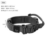 fos ノーブルカラー