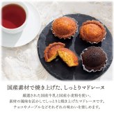 ギフト スイートバスケット「焼き菓子詰合せ」スイーツ 国産小麦 チョコ お菓子 洋菓子 セット 食べ物 お祝い 電報 祝電 プレゼント 贈り物 贈答用 結婚祝い 誕生日 卒業祝い 入学祝い 長寿祝い 還暦 出産祝い 退職祝い 記念日 叙勲 褒章 お中元 夏ギフト お歳暮 冬ギフト 母の日 父の日 敬老の日 内祝 お返し お供え 香典返し 法事 お見舞い 熨斗 粗品 お礼 花以外 おしゃれ