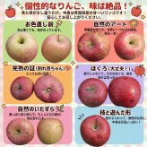 青森県産　りんご　ご家庭用　トキ　１０ｋｇ　　送料無料！