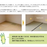 夏ラグ 夏用カーペット 純国産 い草 上敷き カーペット 糸引織 『梅花』 江戸間6畳(約261×352cm）