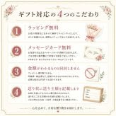シクラメン 6号 鉢植え 送料無料 最高級シクラメン ビクトリア鉢花 6号 お歳暮 花 ギフト 誕生日 プレゼント 鉢植え 花鉢 フラワー 生花 クリスマス 自宅用 メッセージ 6寸 季節の花 季節の花鉢 おしゃれ 贈り物 花ギフト 誕生日プレゼント 北海道配送可