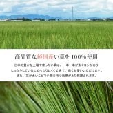 ラグ カーペット 国産 い草 玄関マット エルモード 約30×120cm 裏貼り 滑り止め加工 インテリアマット あがりかまち 上がり框 かまち用 モダン