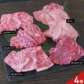 黒毛和牛 焼肉用 4種 牛タン 食べ比べ ギフトセット 牛肉 冷凍 カタロース バラ 牛モモ肉 スライス