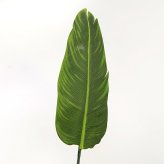 観葉植物 造花 ストレリチア BROWN 全高約126cm 大型 フェイクグリーン 本物そっくり おしゃれ インテリア 人工観葉植物 アーティフィシャルグリーン オフィス 店舗 ホテル 開店祝い 室内 極楽鳥花 オーガスタ フェイク